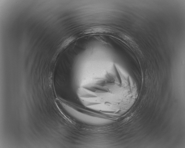 X0000052941233200507300010