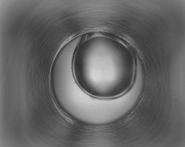 X0000052941234200507300010