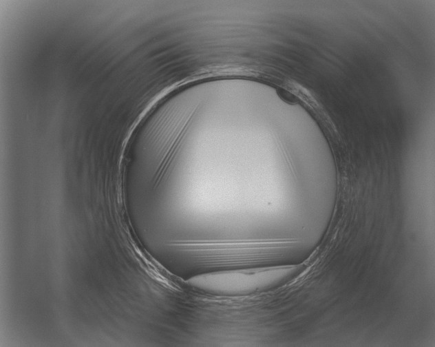 X0000052941236200507300010