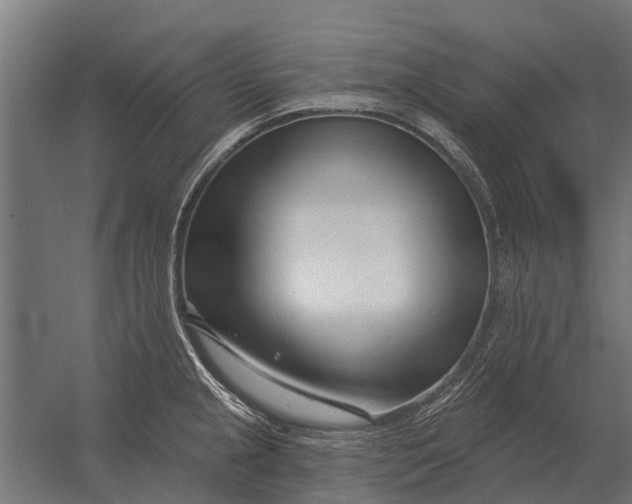 X0000052941237200507300010