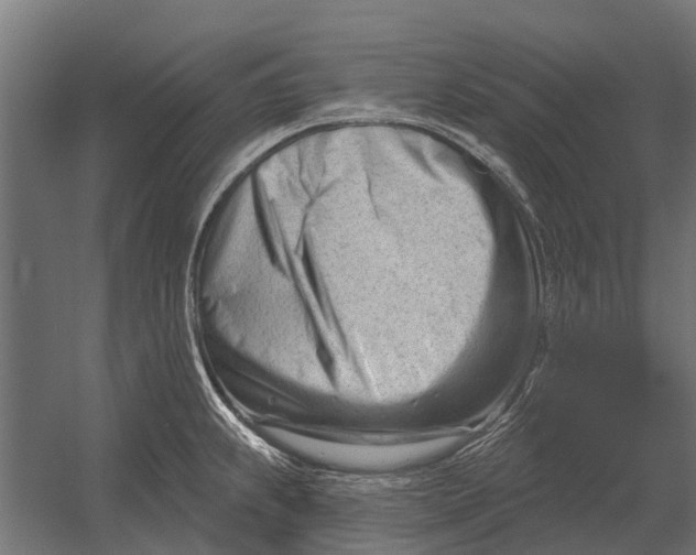 X0000052941239200507300010