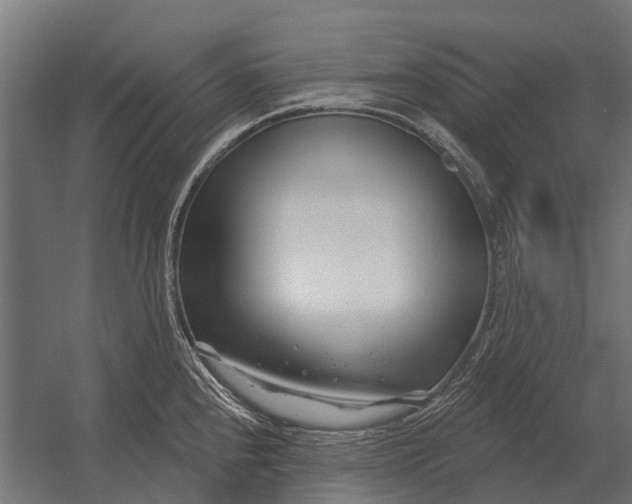 X0000052941240200507300010