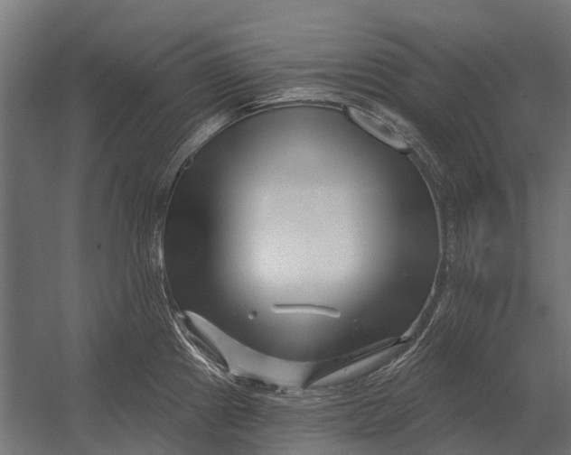 X0000052941241200507300010