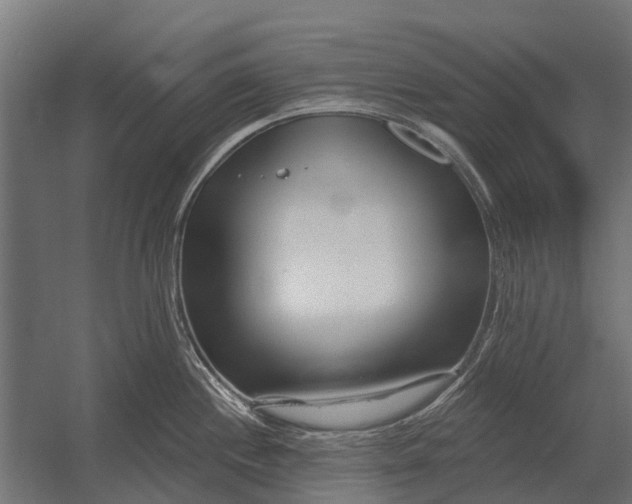 X0000052941244200507300010