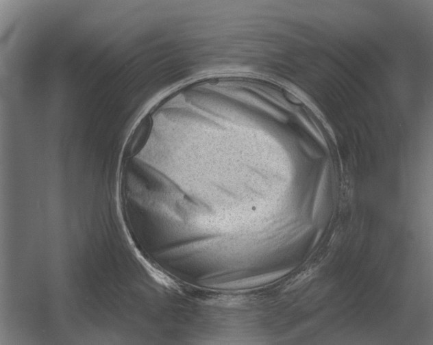 X0000052941245200507300010