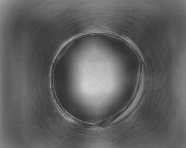 X0000052941246200507300010