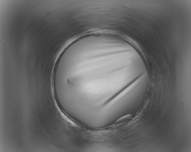 X0000052941247200507300010