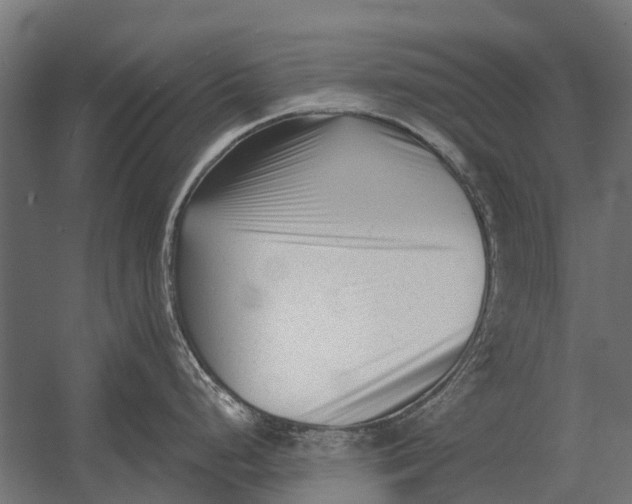 X0000052941248200507300010