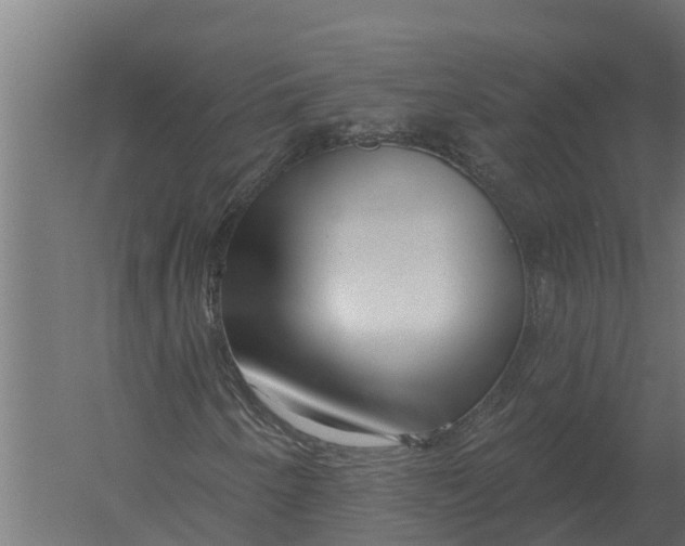 X0000052941250200507300009