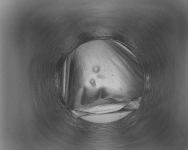 X0000052941251200507300009