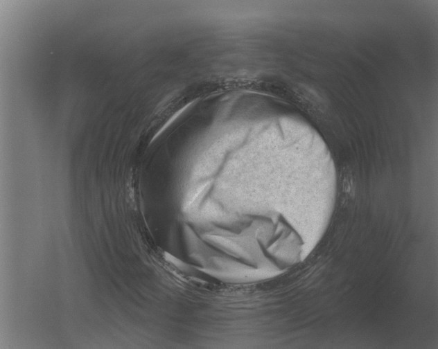 X0000052941252200507300009