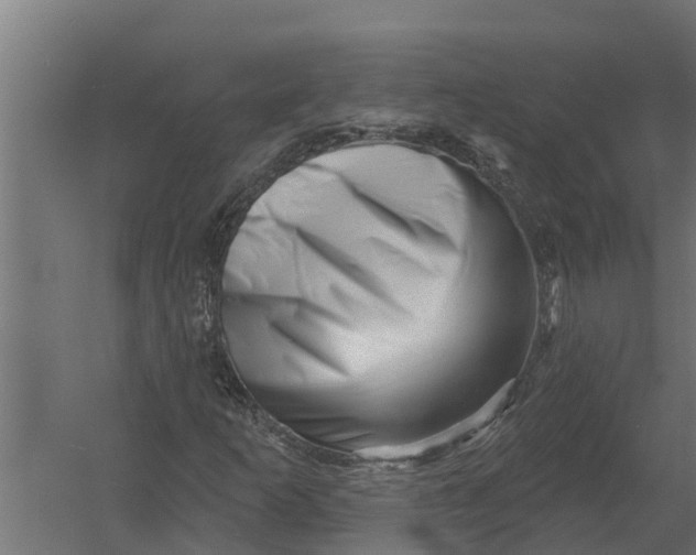 X0000052941253200507300009