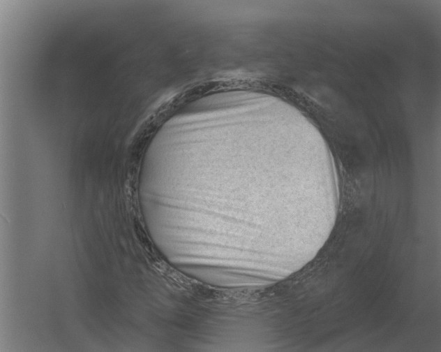 X0000052941254200507300009