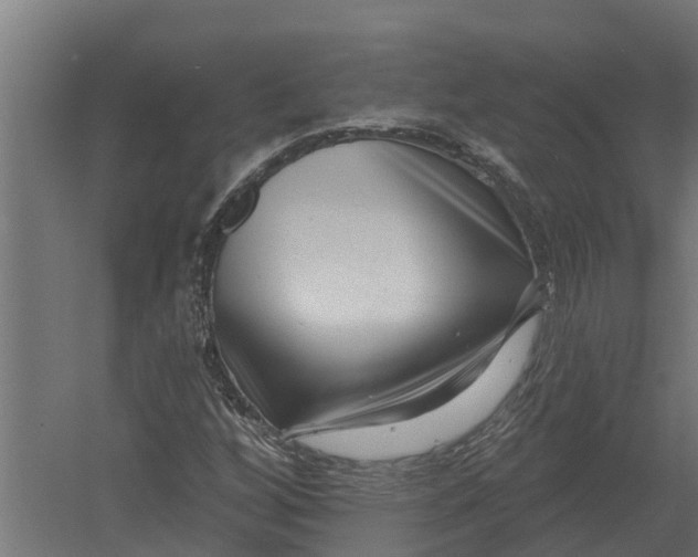 X0000052941256200507300009