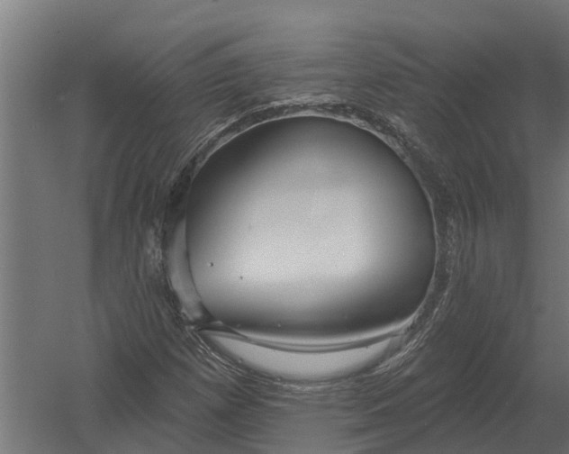 X0000052941257200507300009