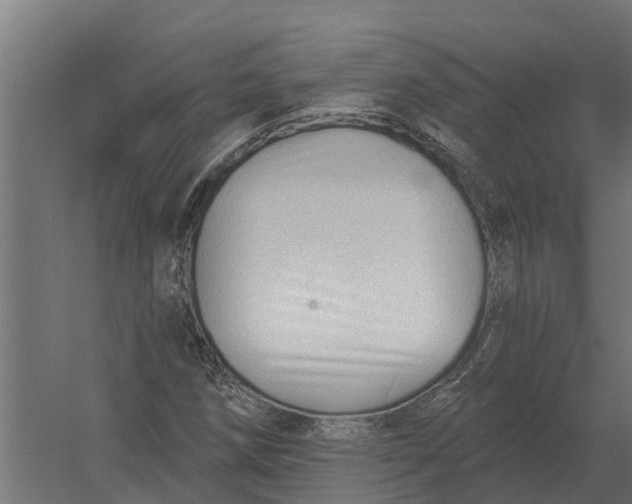 X0000052941258200507300009