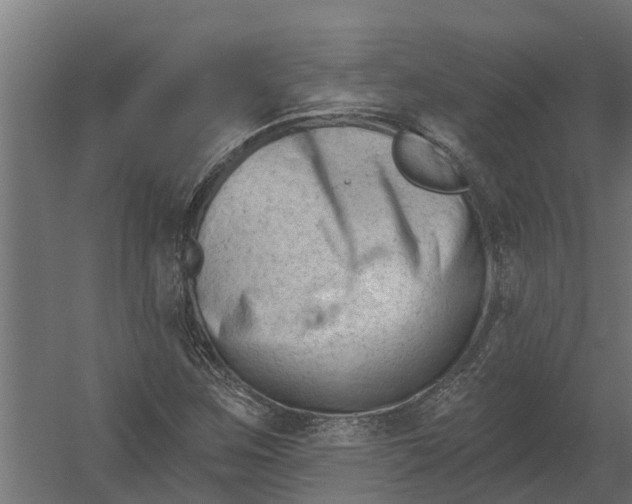 X0000052941259200507300009