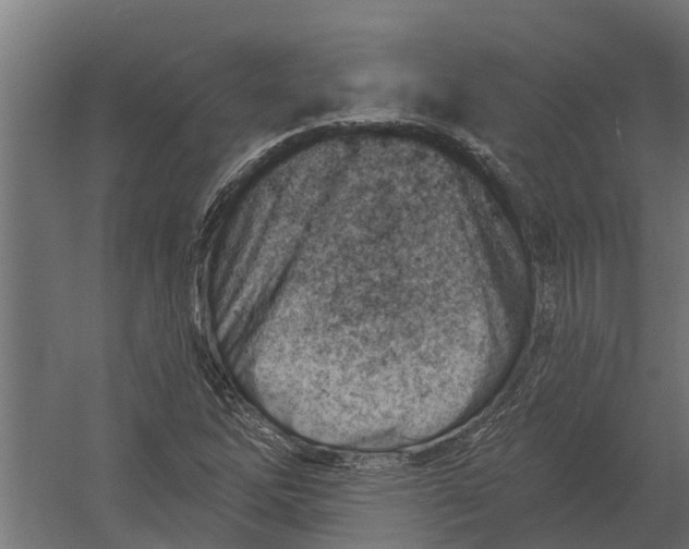 X0000052941262200507300009