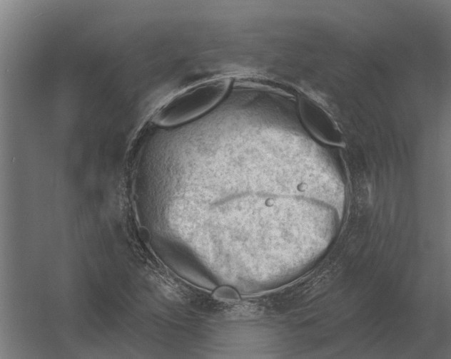 X0000052941263200507300009