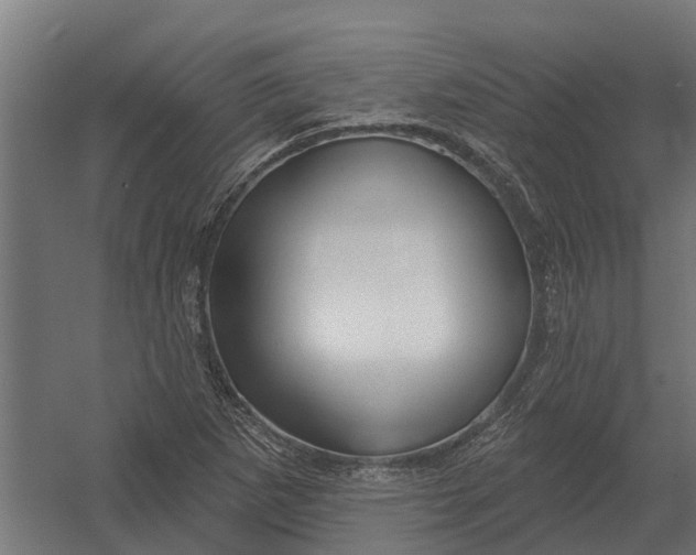 X0000052941265200507300009