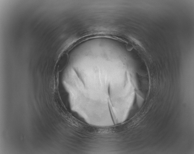 X0000052941267200507300009