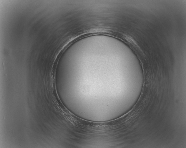 X0000052941268200507300009