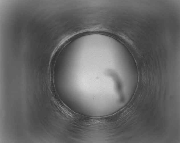 X0000052941270200507300009