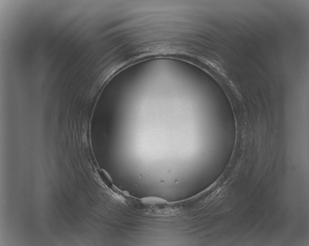 X0000052941273200507300009