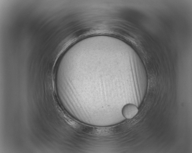 X0000052941274200507300009