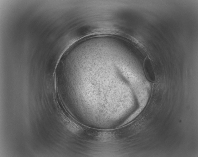 X0000052941275200507300009