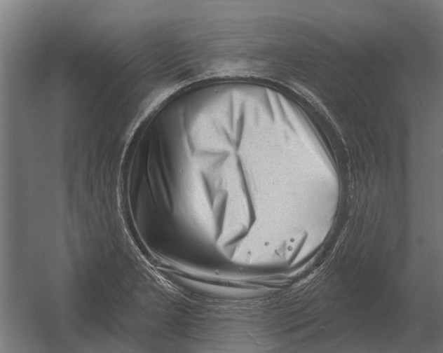 X0000052941277200507300009