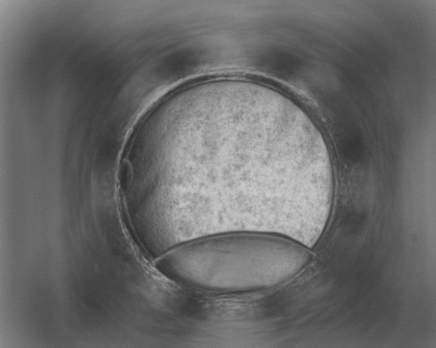 X0000052941279200507300009