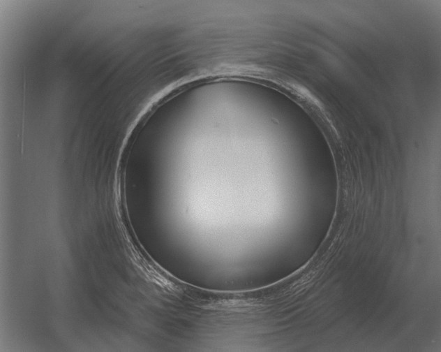 X0000052941280200507300009