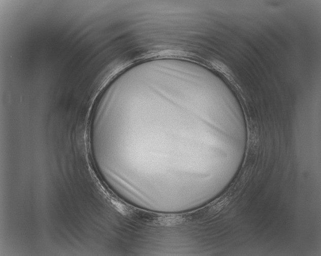 X0000052941282200507300008