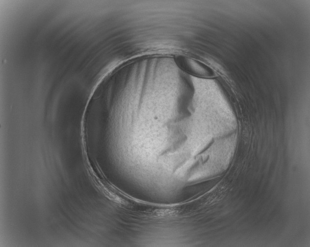 X0000052941283200507300008