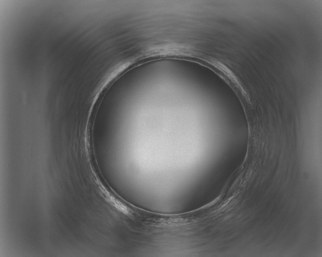 X0000052941285200507300008