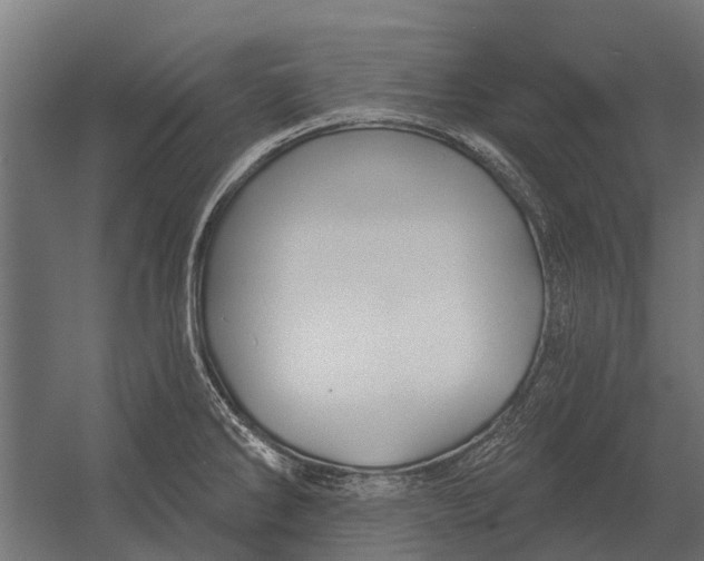 X0000052941286200507300008