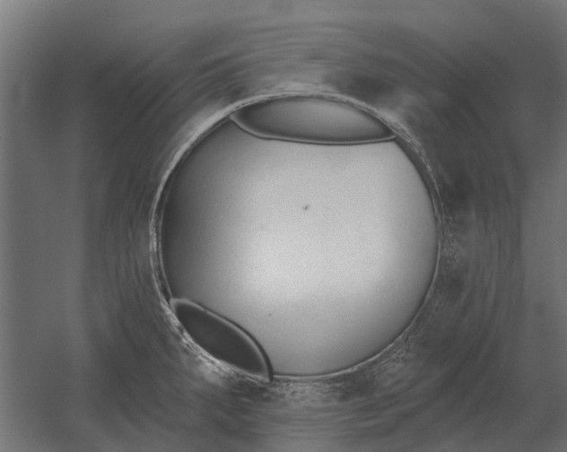 X0000052941287200507300008