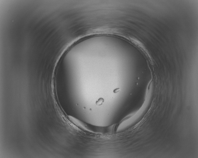 X0000052941288200507300008