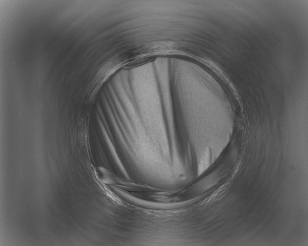 X0000052941289200507300008