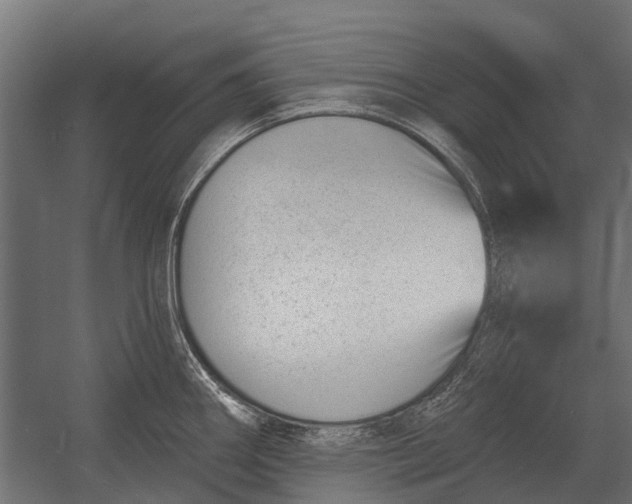 X0000052941290200507300008