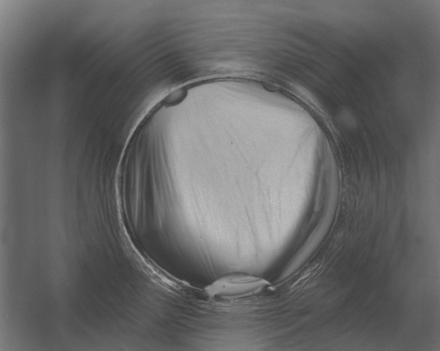 X0000052941291200507300008