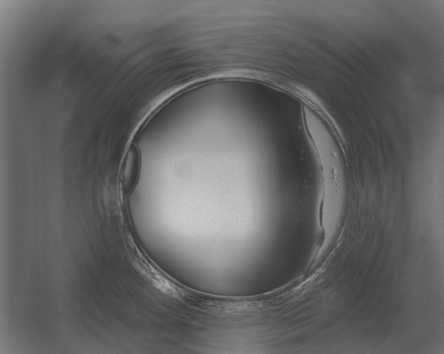 X0000052941292200507300008