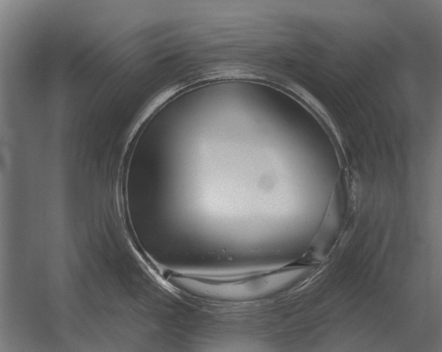 X0000052941293200507300008