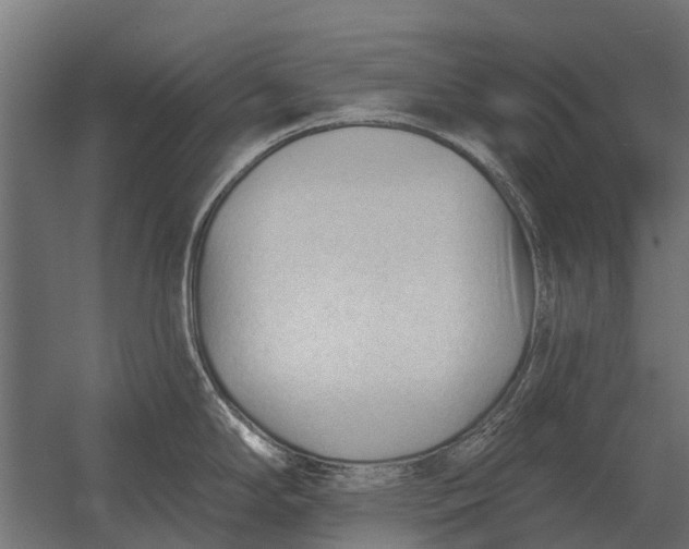 X0000052941294200507300008