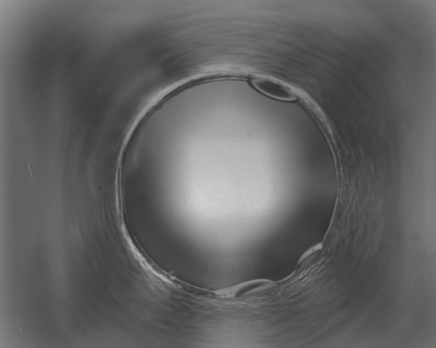 X0000052941295200507300008