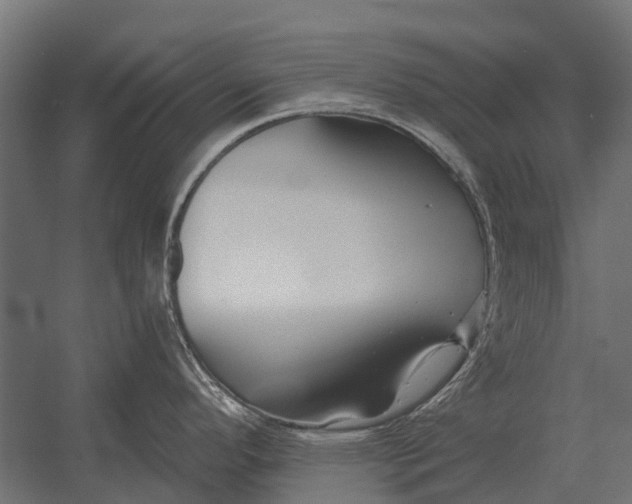 X0000052941296200507300008