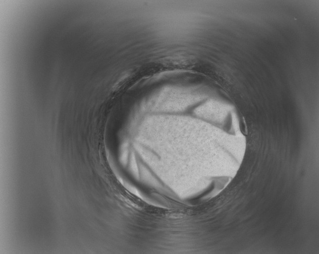 X0000052941297200507300007