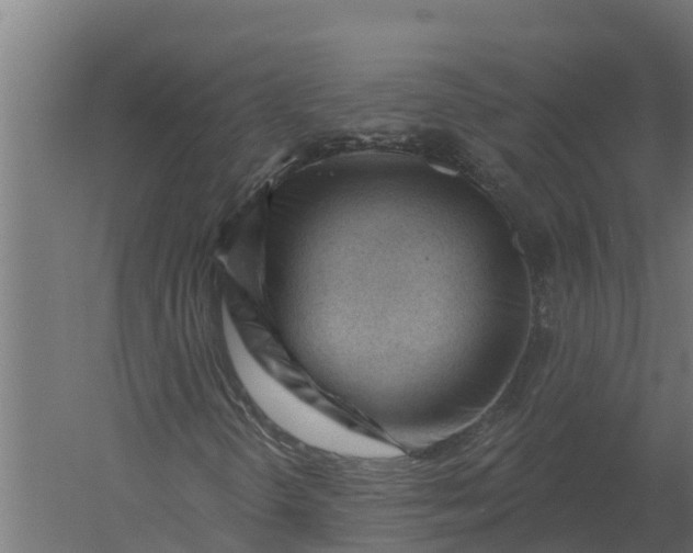 X0000052941298200507300007