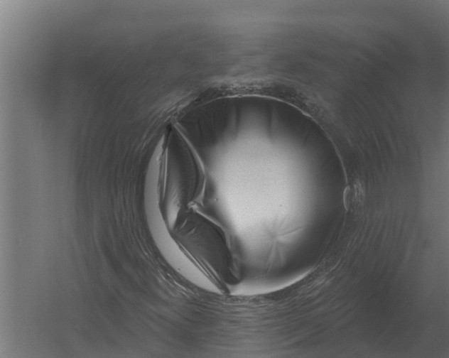 X0000052941300200507300007